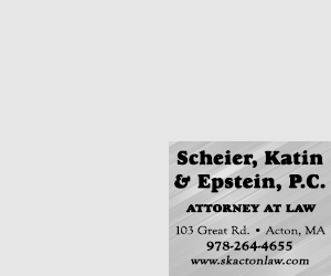 SCHEIER , KATIN & EPSTEIN PC