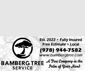 BAMBERG TREE