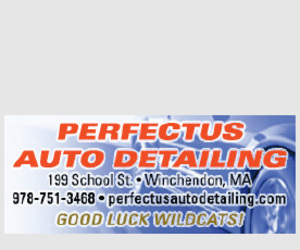 PERFECTUS AUTO DETAILING