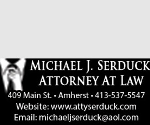 MICHAEL J SERDUCK ATTORNEY AT LAW