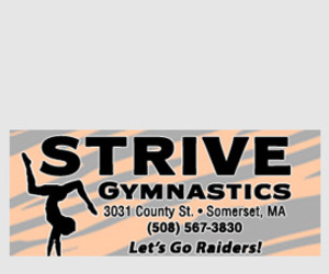 STRIVE GYMNASTICS LLC