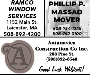 RAMCO WINDOW SERVICES/PHILLIP P MASSAD MOVER/ANTANAVICA CONSTRUCTION CO INC