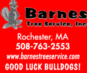 BARNES TREE SERVICE INC