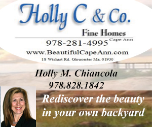 HOLLY C & CO INC FINE HOMES
